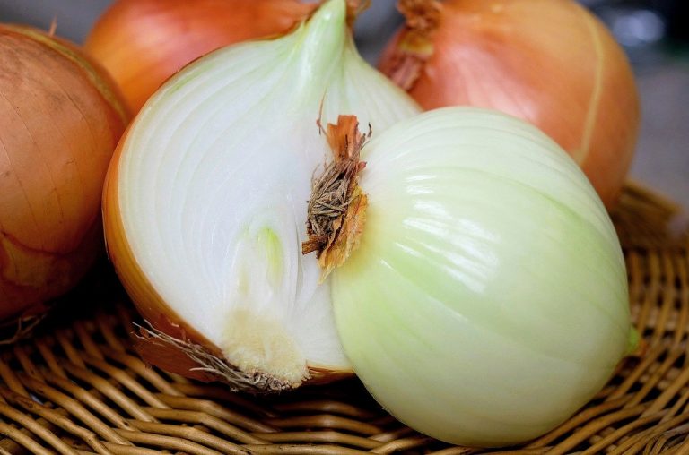 Top 5 Health Benefits of Onions Power Source One